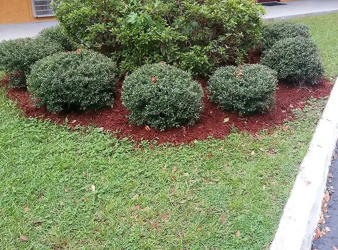Howard Johnson By Wyndham Tallahassee