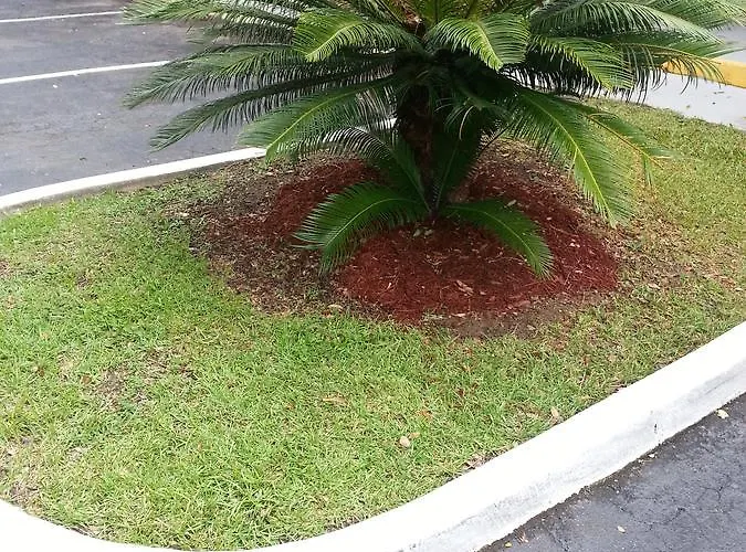 Howard Johnson By Wyndham Tallahassee